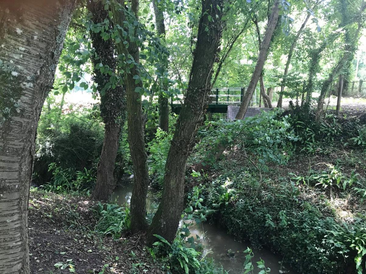 Old Mill House Bed And Breakfast, Guest House 多切斯特 外观 照片